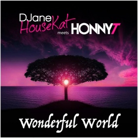 DJANE HOUSEKAT MEETS HONNYT - WONDERFUL WORLD